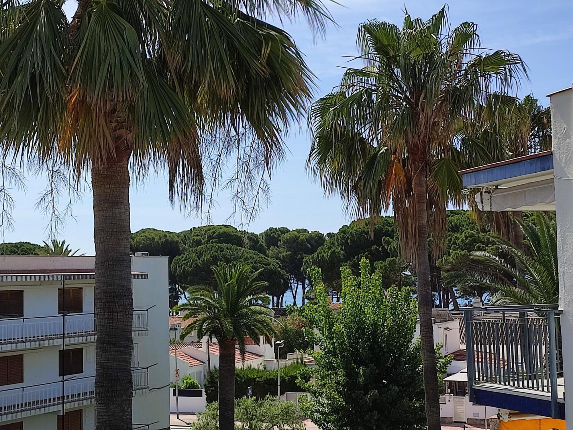 Reus Mediterrani كامبريلس المظهر الخارجي الصورة